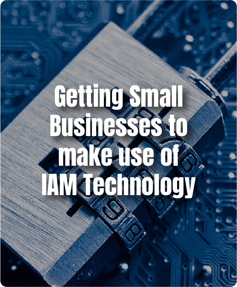 https://www1.avancercorp.com/wp-content/uploads/2024/06/Getting-Small-Businesses-to-make-use-of-IAM-Technology.jpg