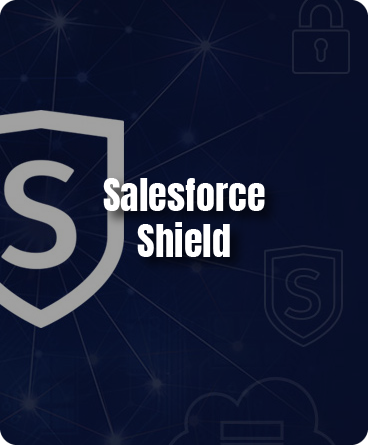 https://www1.avancercorp.com/wp-content/uploads/2024/07/Salesforce-Shield.png